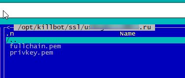 SSL certificate files on KillBot server